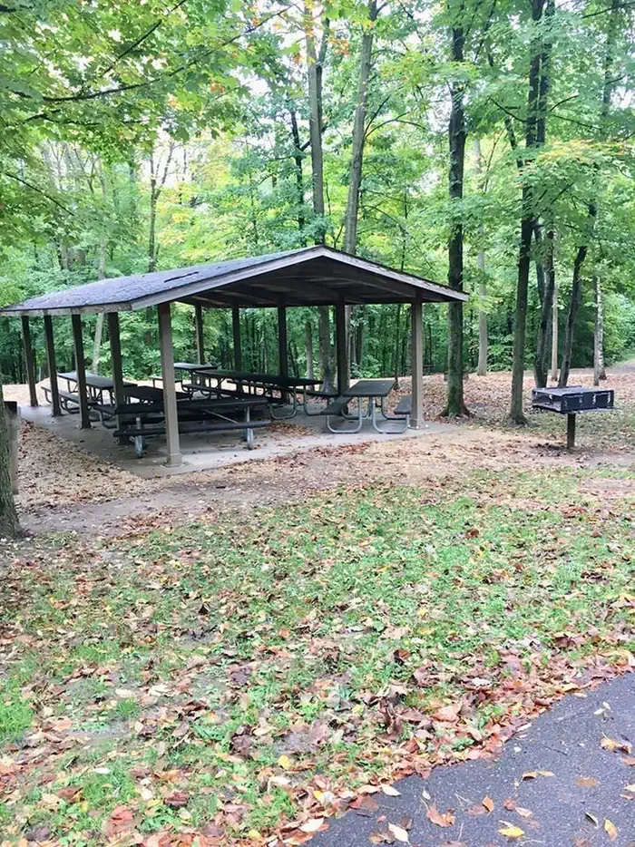 Group Loop (11 sites)