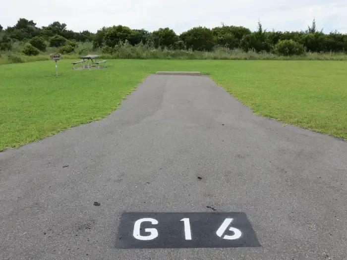 G016