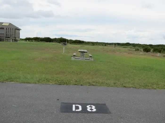 D008