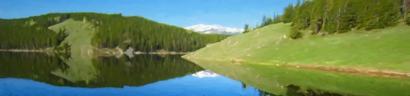 007
