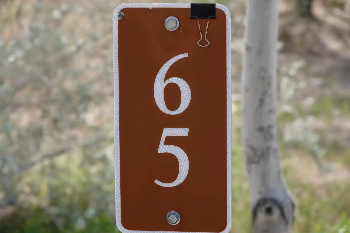 Site 65
