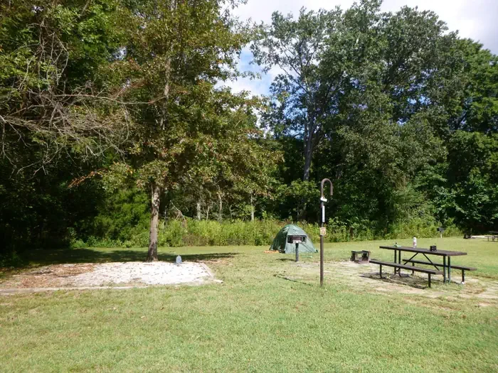 Site# 17