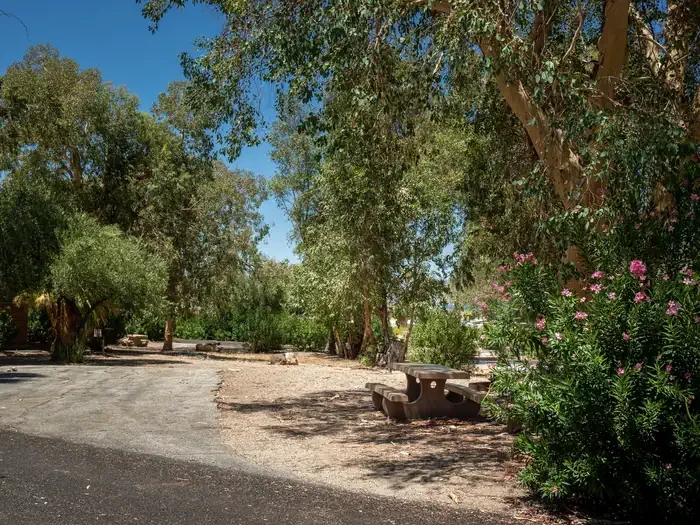 Site 8