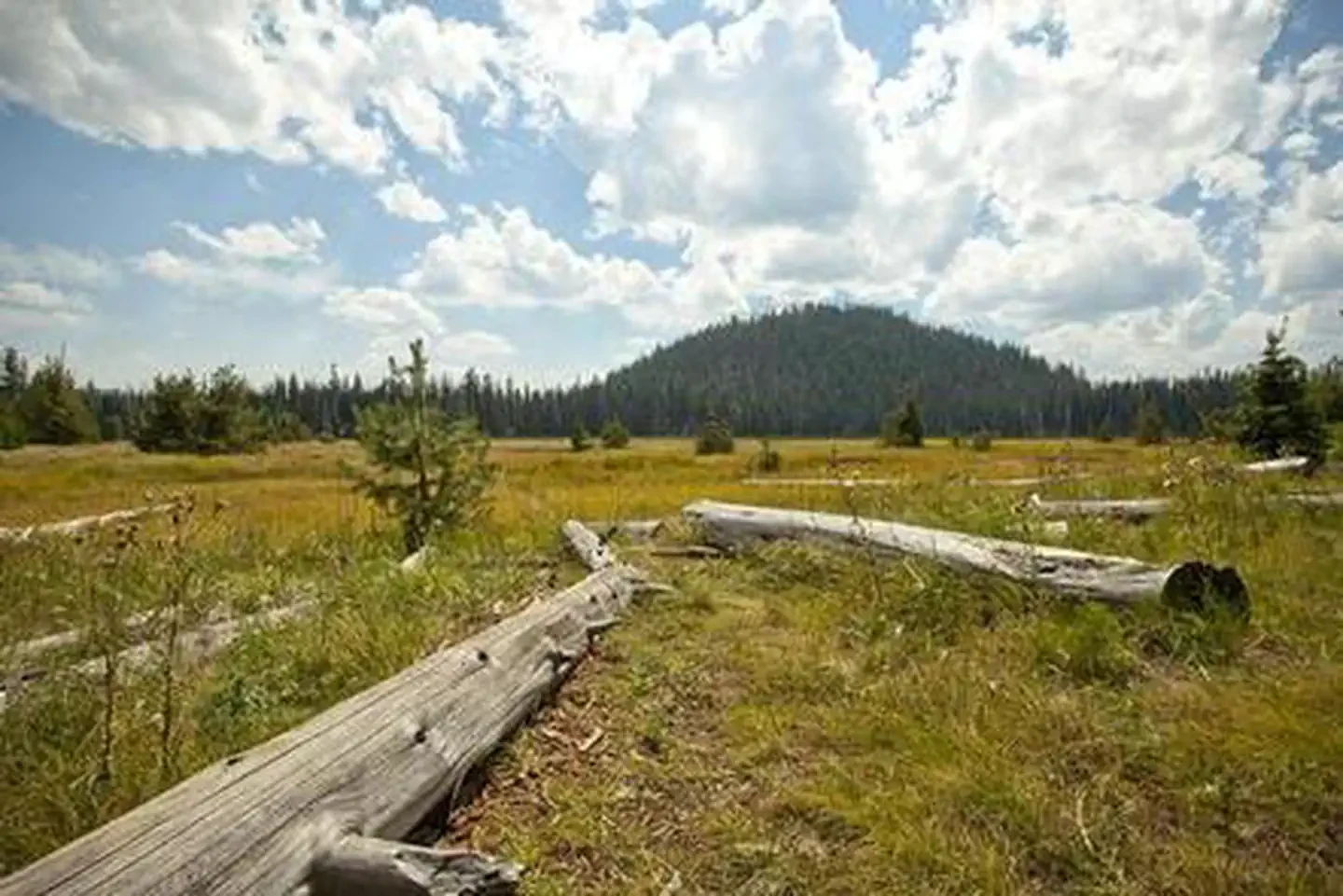 South Campground - Hosmer Lake (OR)