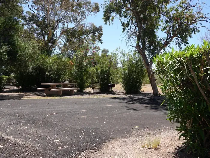 Site 15