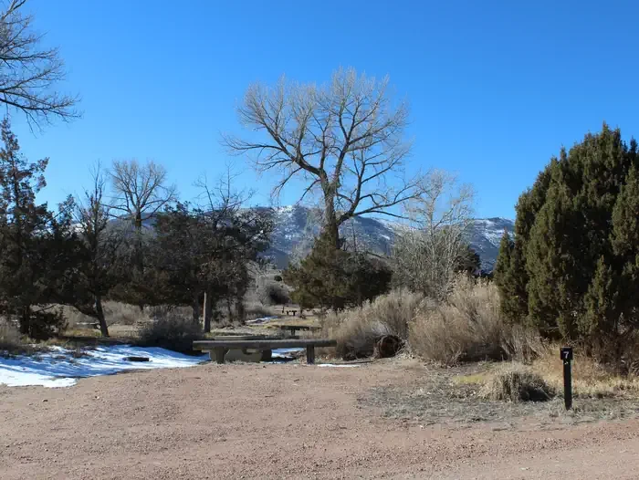Site 7