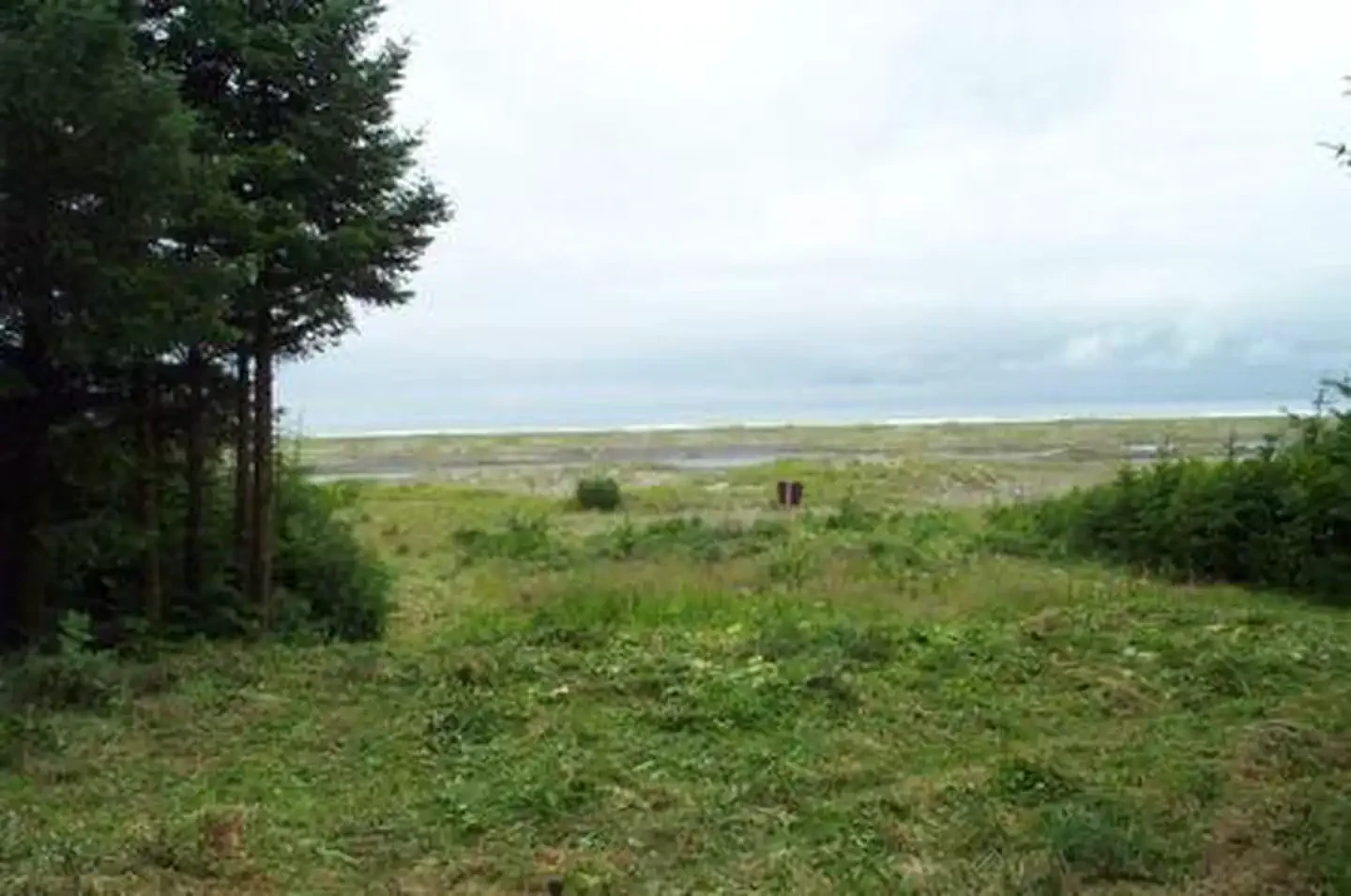 Softuk Bar Cabin