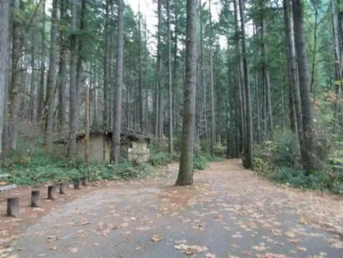 Bogus Creek Campground