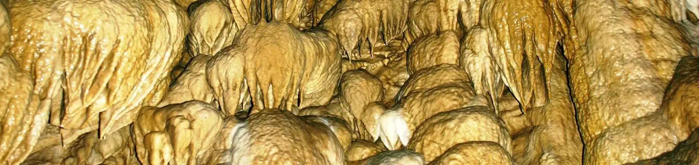 Oregon Caves National Monument and Preserve Tours