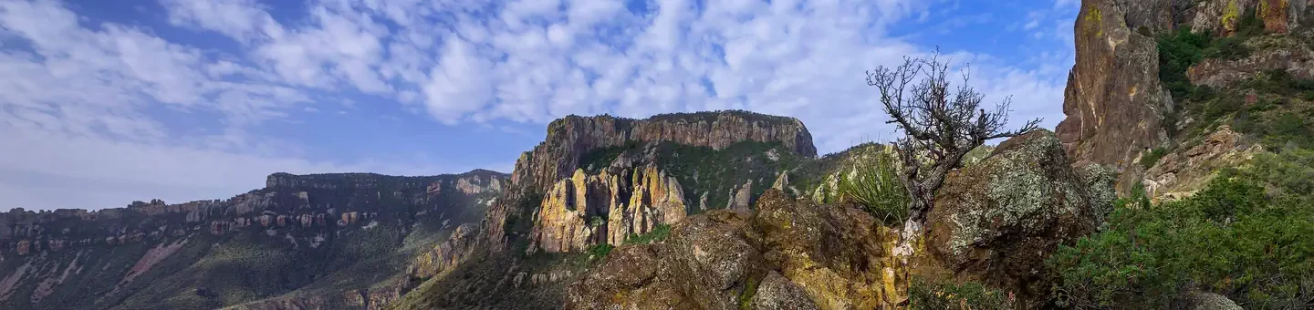 Big Bend National Park