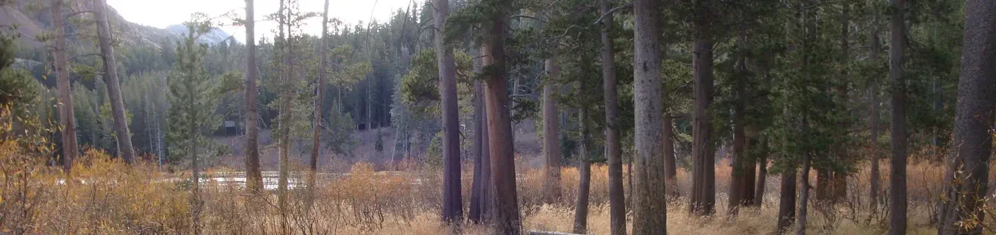 Twin Lakes Campground