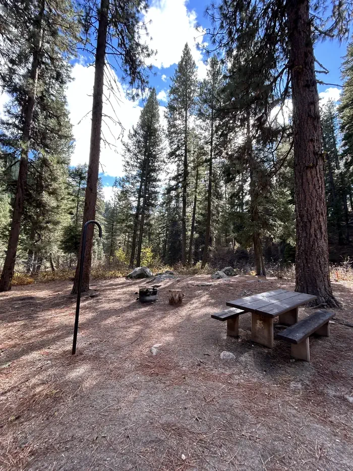 Bad Bear Campground