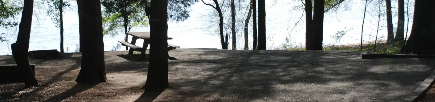 041