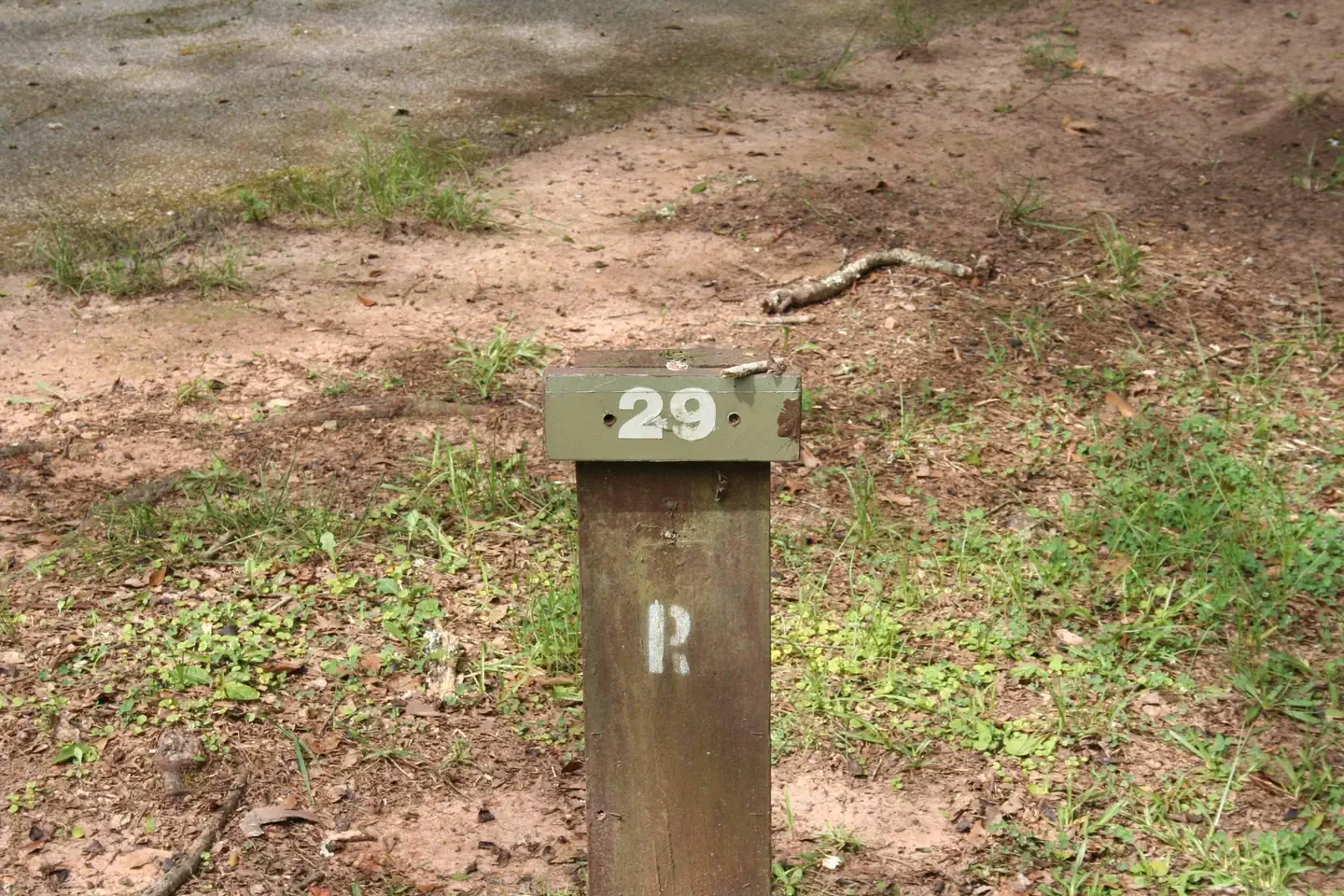 029