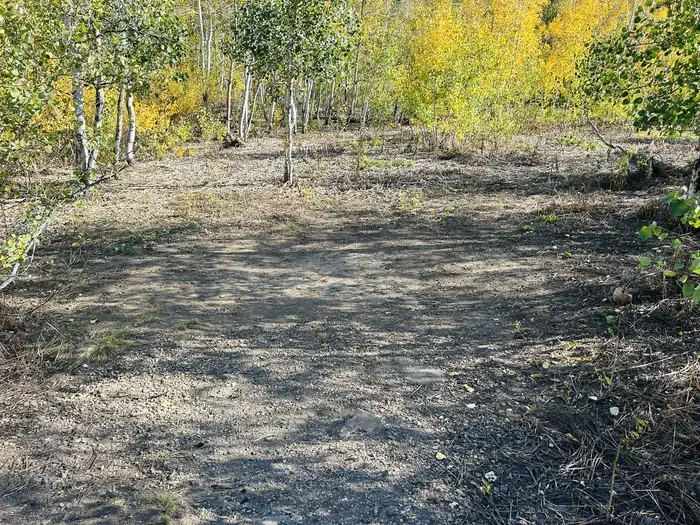 A05