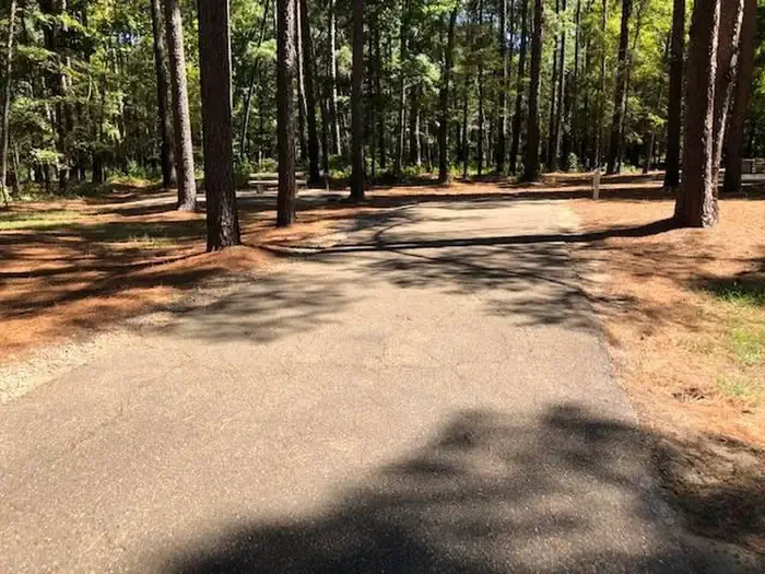 E11