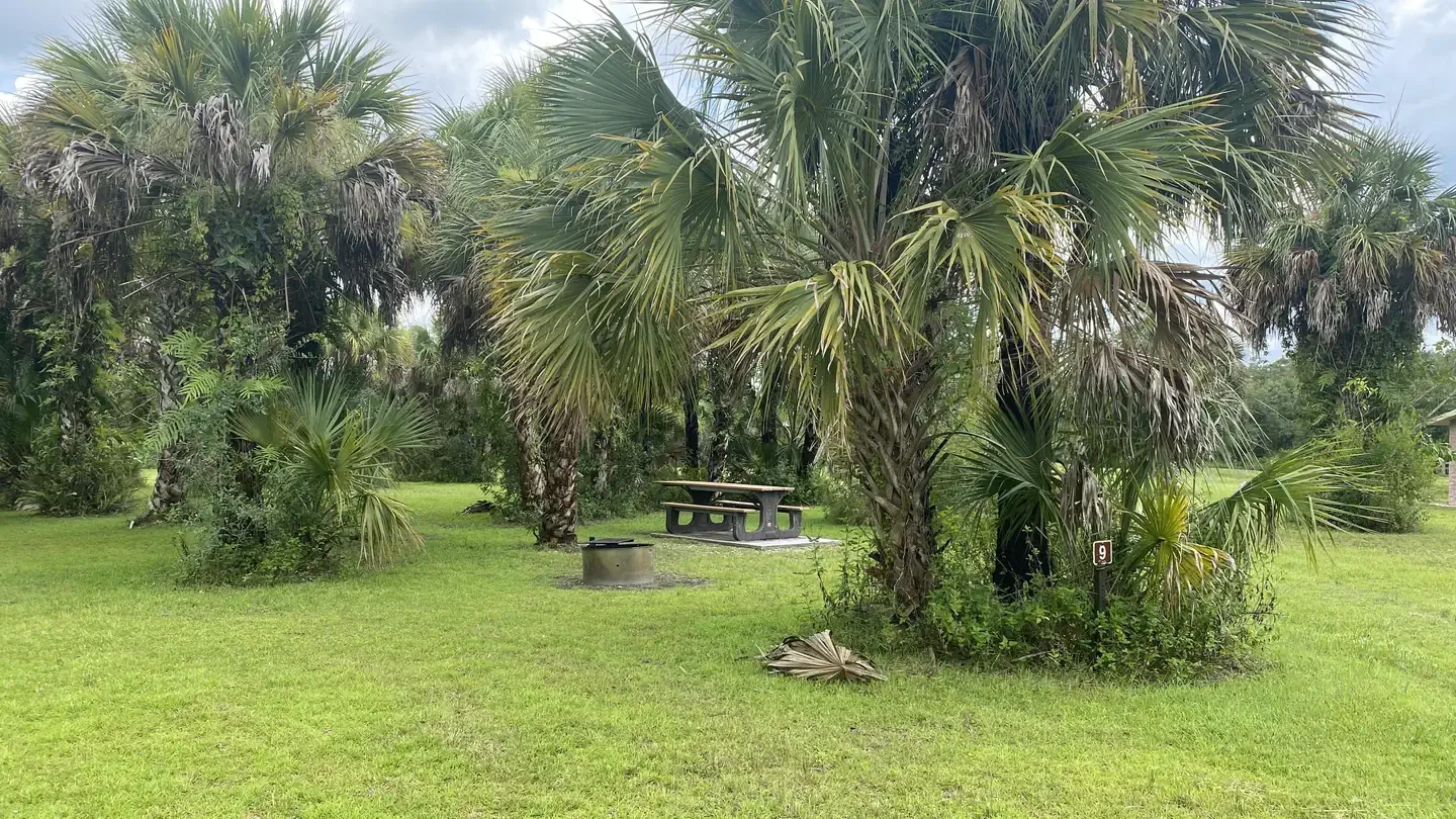 Bear Island Campground
