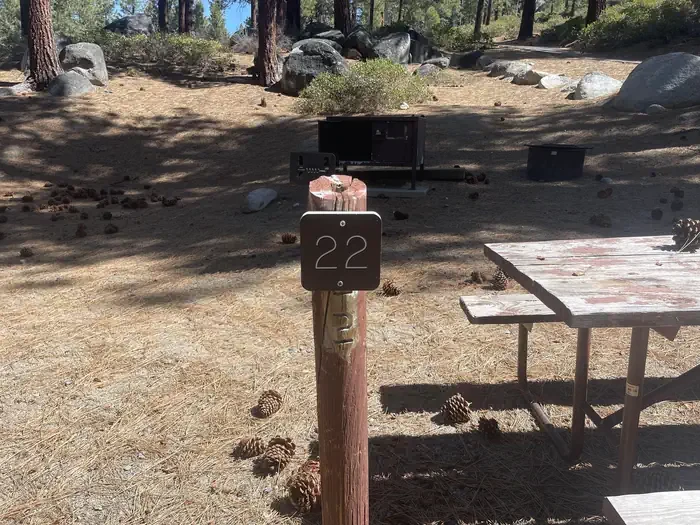 22