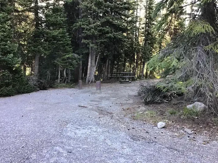 Lewis Lake site #38