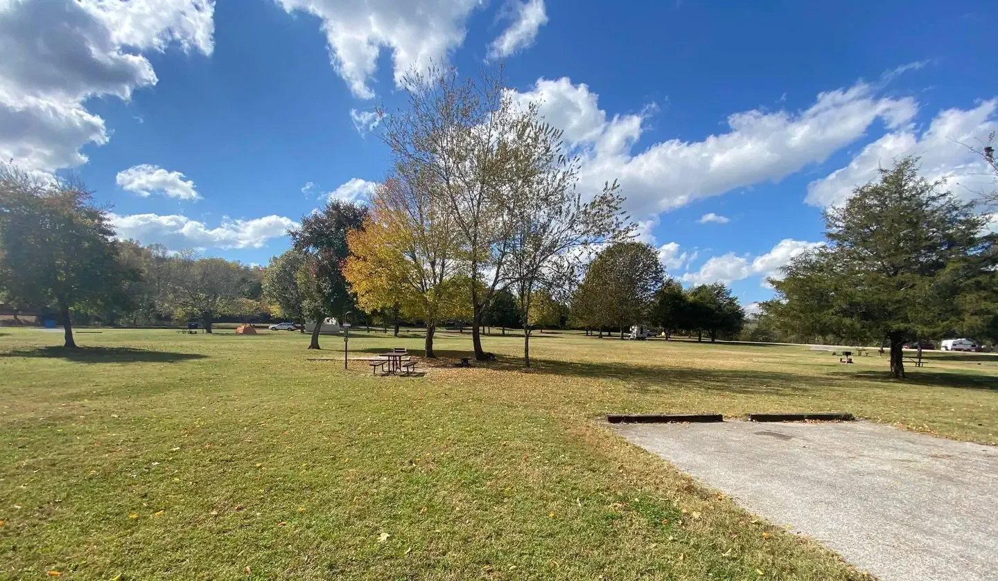 Site# 11