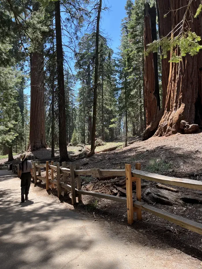 Crystal Springs Campground Mid-Sized Group Sites