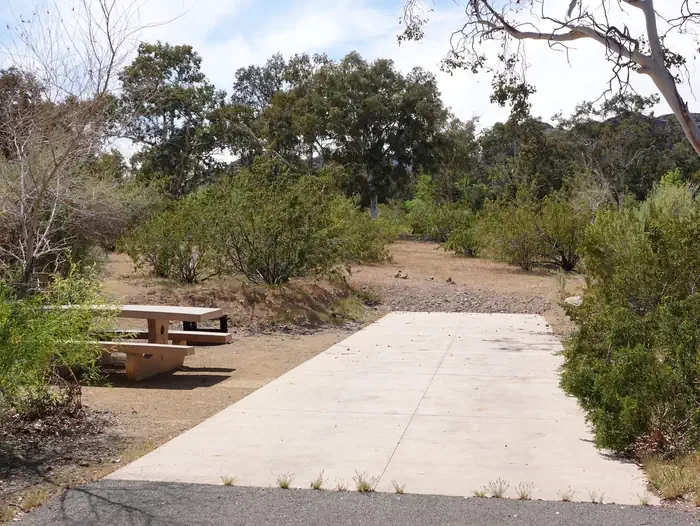 Site 51