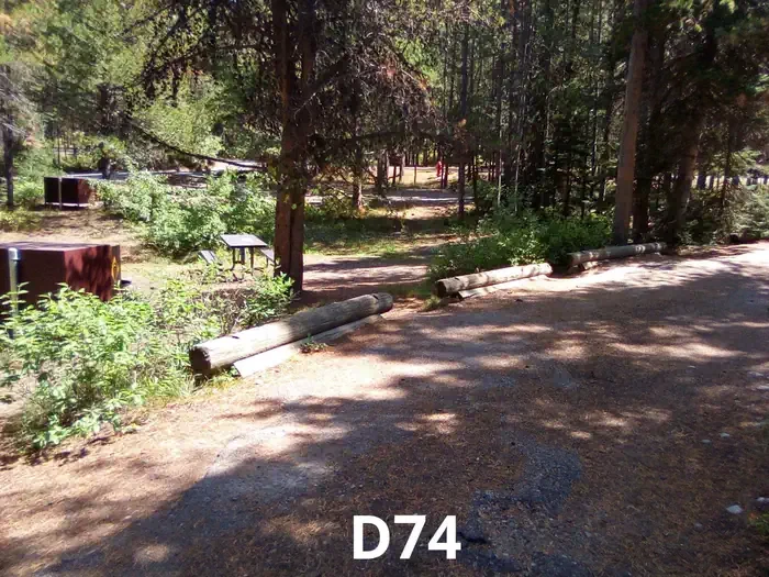 74