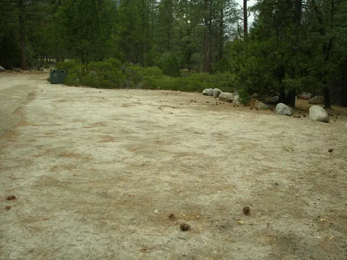 Site D