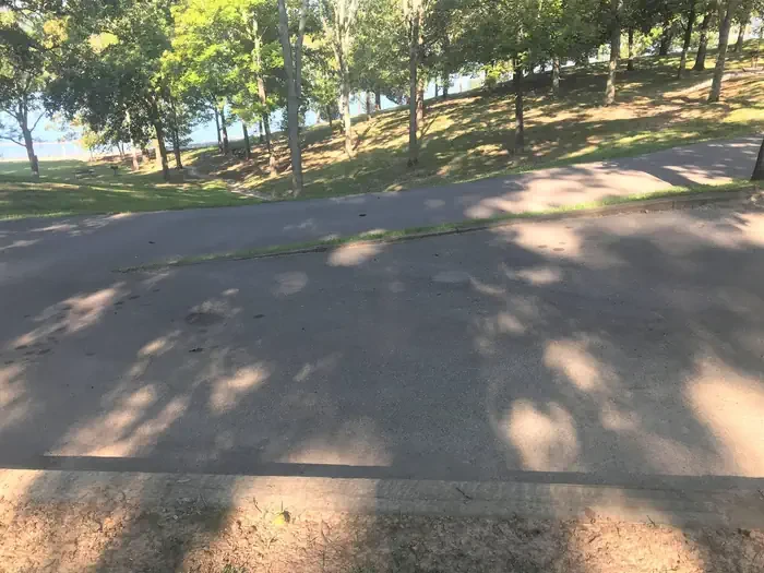 86