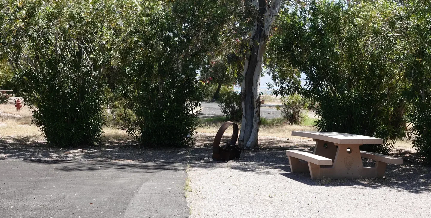 Site 37