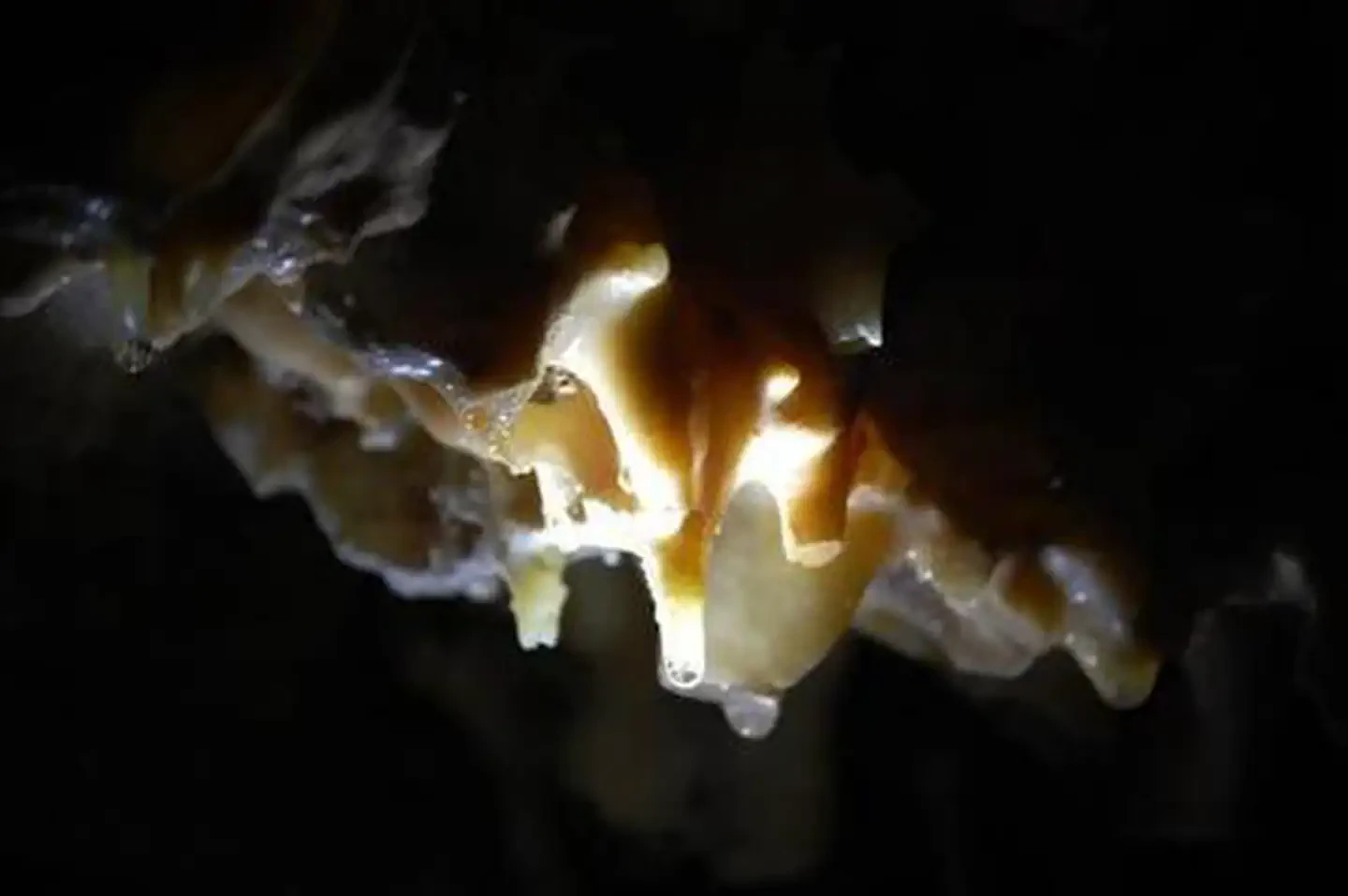 Lehman Caves Tours