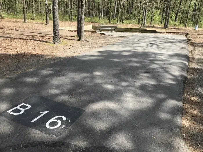 B16