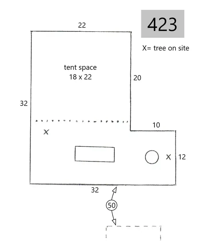 423