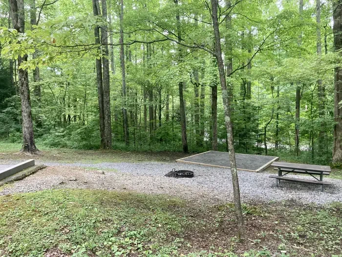 A11