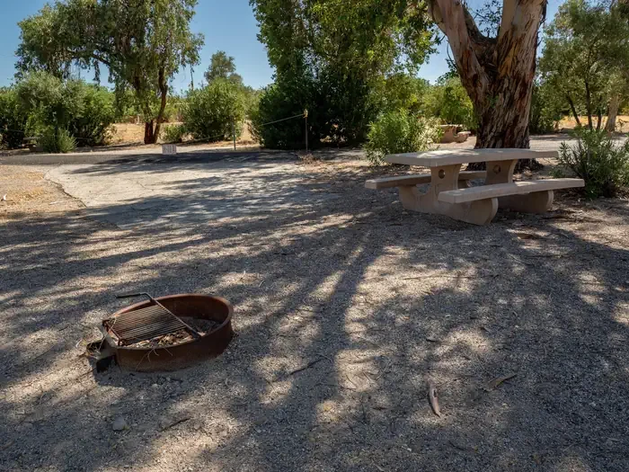 Site 63