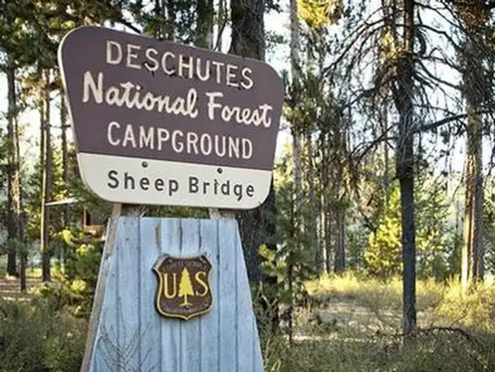 Sheep Bridge