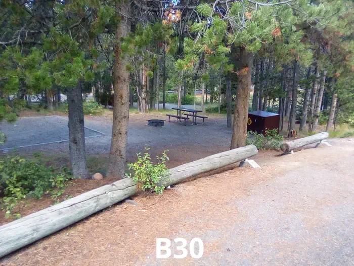30