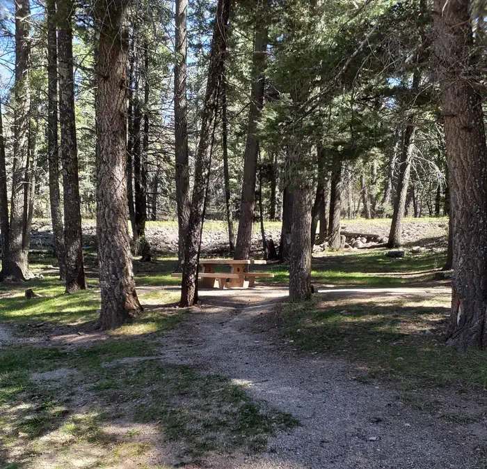Aspen Group Area (Lincoln National Forest, NM)