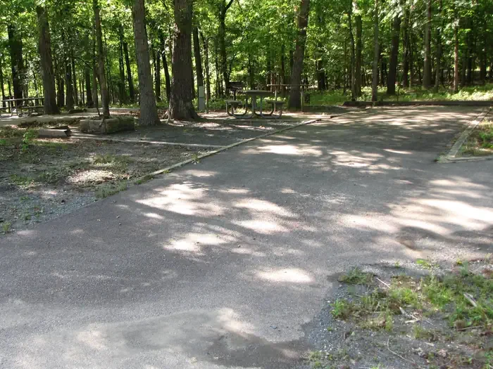 Site 19