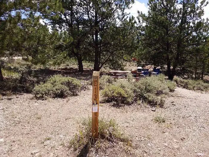 E013