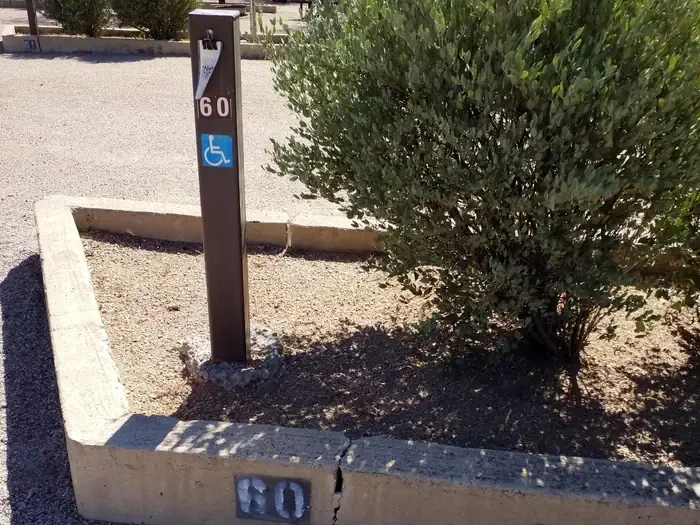 60