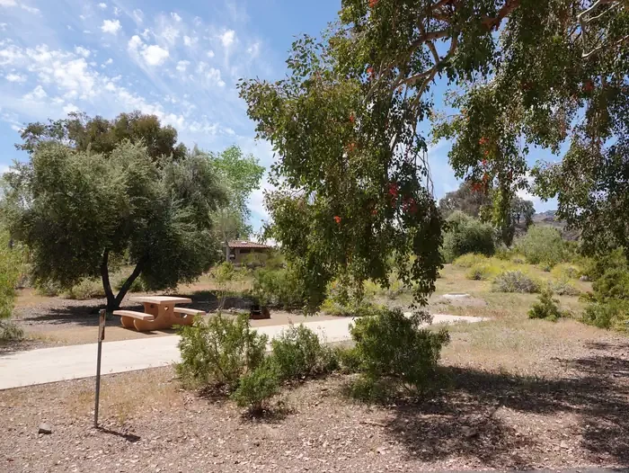 Site 23