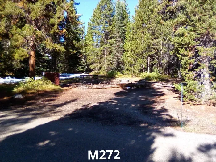 272