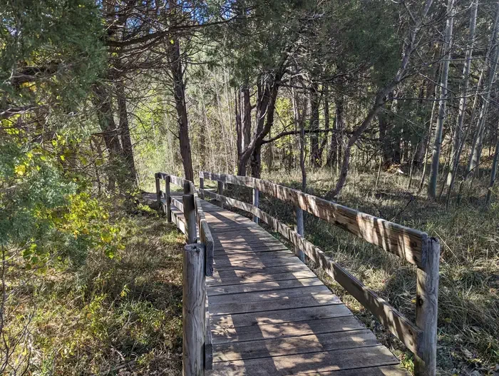 Cienega Picnic Site