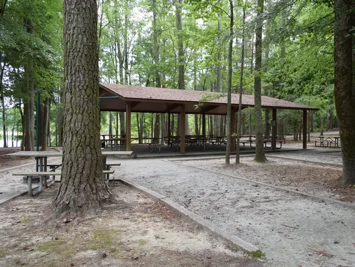 Piney Woods Group Camping Area