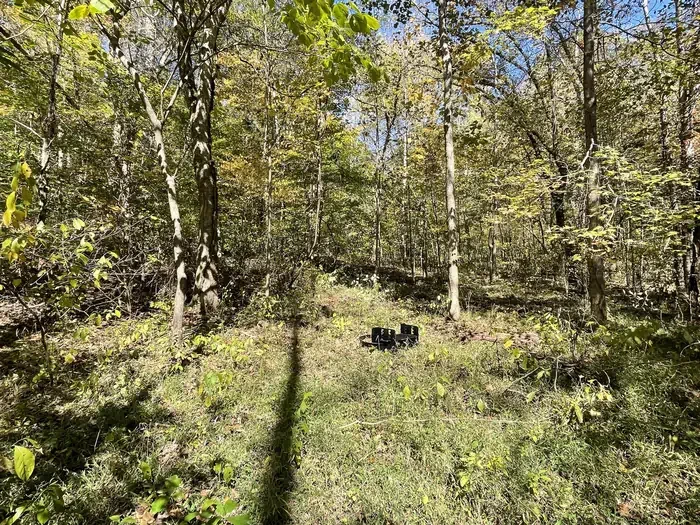 Crowder Cove - Site 5