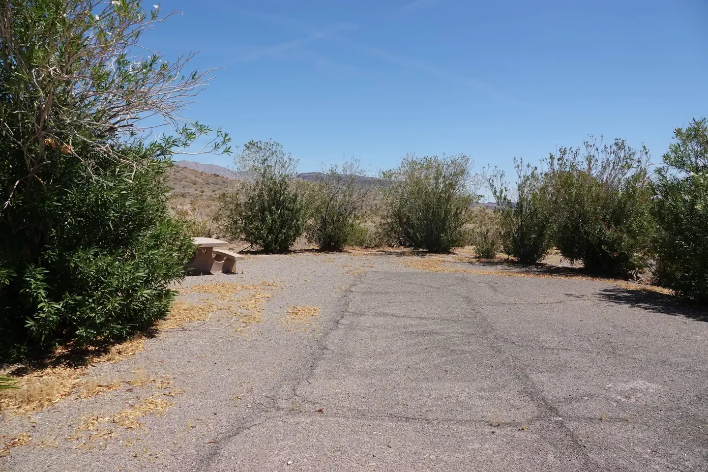 Site 40