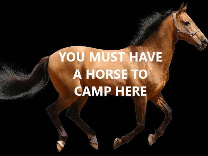 Bridalveil Creek Horse Campsites