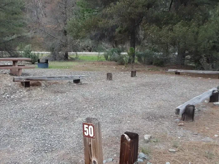 50