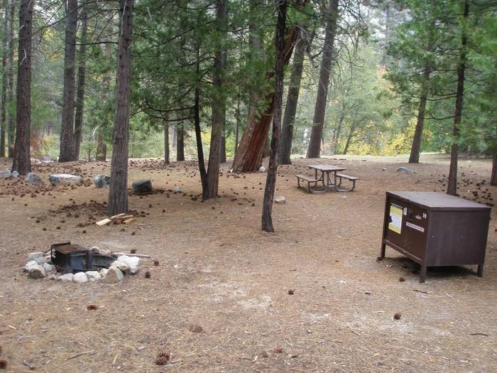 Site: 59